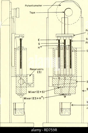 . Les courants dans la recherche biochimique, 1956 ; vingt-sept essais tracer la voie actuelle de la recherche biochimique et compte tenu de la relation intime de biochimie à la médecine, la physiologie et la biologie. Biochimie -- la recherche. Les composés complexes enzyme-substrat premier sont observées par spectrophotométrie jusqu'à de très fortes concentrations de peroxyde d'apporter la preuve que la formation du complexe I est si rapide qu'aucun autre tlian J'complexe intermédiaire ont moment d'être forined dans la réaction.. Pousser le piston de la seringue de Bloc robinet Seringue étanche pour recevoir l'appui résiduel Franne Banque D'Images