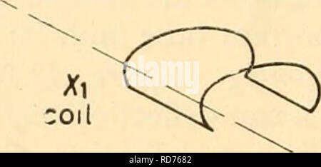 . Appareils électroniques pour la recherche biologique. Appareils électroniques et appareils ; biologie -- la recherche. Figure 28.42 X2 figure la bobine 32,29 fs. Veuillez noter que ces images sont extraites de la page numérisée des images qui peuvent avoir été retouchées numériquement pour plus de lisibilité - coloration et l'aspect de ces illustrations ne peut pas parfaitement ressembler à l'œuvre originale.. Donaldson, Peter Eden Kirwan. New York, Academic Press Banque D'Images