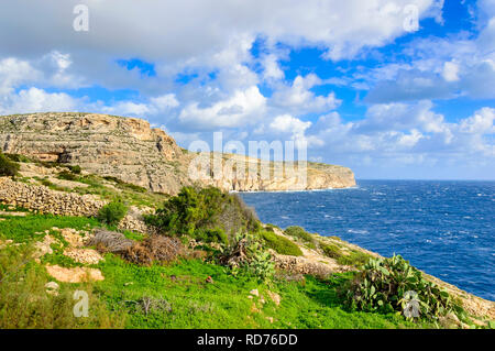 Falaises près de Blue Grotto, Malte. Seascape pittoresque avec rocky shore et vert cactus. Banque D'Images