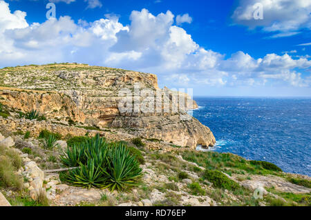 Falaises près de Blue Grotto, Malte. Seascape pittoresque avec rocky shore et plantes d'agave juteux. Banque D'Images