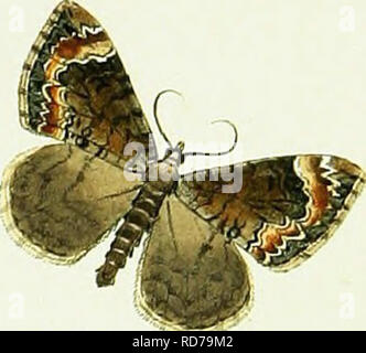 . L'HuÌbner geometra [ressource électronique]. Lépidoptères. /Ssjoiooprisra ^ ^., V./eorncfrtz Gstcaicihoca,, 7f*., JZ. &Lt;â€c.. &Lt;Â£5 J ? J^j . -442. lysssto&amp;t/iz . U3. U4. /Jznc ^TM6'&lt;z6&amp ; â 445. ^tuJ/a£z. 8ff. P^^^^^^t st v^^^c Â" ?ei^^ ^s/*f vyÂ"Â£ &Lt ;^*W. j*Â" ?. &Lt;2^- I 0 7 . *L ^. Veuillez noter que ces images sont extraites de la page numérisée des images qui peuvent avoir été retouchées numériquement pour plus de lisibilité - coloration et l'aspect de ces illustrations ne peut pas parfaitement ressembler à l'œuvre originale.. HuÌbner, Jacob, 1761-1826. [S. l.  : S. n. ] Banque D'Images
