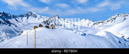 Vue sur le glacier d'Aletsch, Eggishornn,, Suisse Banque D'Images