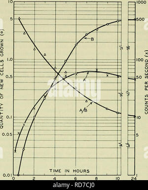 . D'électrolytes dans les systèmes biologiques, l'intégration de communications présentées à un symposium au laboratoire de biologie marine de Woods Hole, Massachusetts, le 8 septembre 1954. Électrolytes ; électrophysiologie électrophysiologie électrolytes ; ; ; physiologie, comparatif. lO d'électrolytes dans les systèmes biologiques à l'acide acétique fraction soluble de la cellules. En plus de cette captation métabolique, une plus grande intégration est observée lorsque les cellules se développent. Cette absorption plus tard (dans la fraction précipitable TCA) correspond à la synthèse des protéines et est pro- proportionnelle à la quantité de nouvelles cellules cultivées.. Fig. 3. Radiosul Banque D'Images