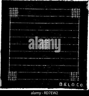 . Bactériologie et mycologie d'aliments. L'alimentation. Zappert-Neubauer Décision Décision basse (15x) Fig. Est-schémas montrant les Hfcmocytometer EuHm. Veuillez noter que ces images sont extraites de la page numérisée des images qui peuvent avoir été retouchées numériquement pour plus de lisibilité - coloration et l'aspect de ces illustrations ne peut pas parfaitement ressembler à l'œuvre originale.. Fred Tanner, Wilbur, 1888-1957. New York, John Wiley & Sons, Inc. ; ; [etc. ,Etc. ] Banque D'Images