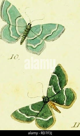. L'HuÌbner geometra [ressource électronique]. Lépidoptères. &Amp ; Ji/u/pc/wnafut.. Icrnaria ?.. 3.^ itSu/sur-ana . y. C ic/'h'iwm. JO- &amp;i(ataria . ^u . Y'irit/arra â eR- ^^TTZ. c f 7 =^- Ss +. Veuillez noter que ces images sont extraites de la page numérisée des images qui peuvent avoir été retouchées numériquement pour plus de lisibilité - coloration et l'aspect de ces illustrations ne peut pas parfaitement ressembler à l'œuvre originale.. HuÌbner, Jacob, 1761-1826. [S. l.  : S. n. ] Banque D'Images