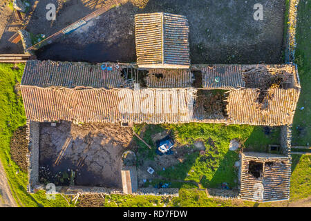 Une vue aérienne directement au-dessus de l'étonnant 'Dehesa Extremeña" avec un vieux hangar en ruines avec des tuiles du toit brisé, l'agriculture traditionnelle Banque D'Images