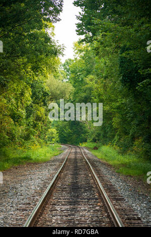 Les voies ferrées à travers l'épaisse forêt de l'Ohio, l'unique parc national de Cuyahoga Valley. Banque D'Images
