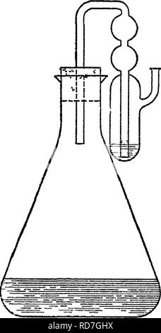 . Bactériologie et mycologie d'aliments. L'alimentation. 220 LEVURES ET MOISISSURES L'examen microscopique des levures comprimé. Préparer un mélange de thm de la levure dans de l'eau distillée. À ce mélange ou une petite partie de lui ajouter une httle d'un 0,1  % Solution de bleu de méthylène. Monter une goutte de ce sous un verre de protection sur une diapositive et énumérer les bactéries mortes et vivantes. Les cellules mortes se tache mais les cellules vivantes qui ne sera pas. Test pour l'altération avec la levure de bière. La quasi-totalité des levures de bière fermenter le rafiinose alors que le pain, les levures ne sont généralement pas. Un gm. de la levure est mélangée avec environ 10 c. c. Banque D'Images