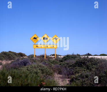 PANNEAU ROUTIER SUR LES PLAINES DE NULLARBOR (EYRE HIGHWAY), WESTERN, AVERTISSEMENT AUX CONDUCTEURS DE LA FAUNE ET DE LA FLORE EN TRAVERSANT LA ROUTE. Banque D'Images