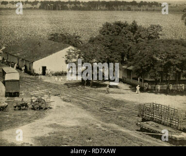 . L'examen de Cuba. CVBA EXAMEN. Veuillez noter que ces images sont extraites de la page numérisée des images qui peuvent avoir été retouchées numériquement pour plus de lisibilité - coloration et l'aspect de ces illustrations ne peut pas parfaitement ressembler à l'œuvre originale.. Munson Steamship Line. New York : Munson Steamship Line Banque D'Images
