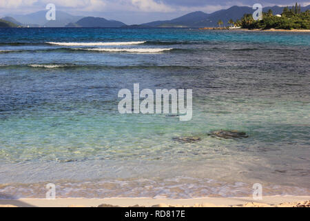 Vagues roulant sur une petite plage de sable de l'île de St Thomas, USVI. Banque D'Images