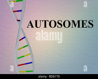 3D illustration d'autosomes script avec double hélice d'ADN , isolé sur motif coloré. Banque D'Images