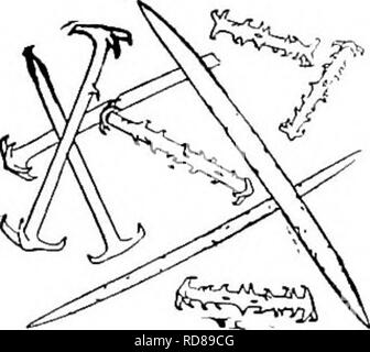 . La biologie d'eau douce. Biologie des eaux douces. 45 (44) Rotules de gemmule spicules de petite classe très irrégulière, arbres à épines en abondance. Heteromeyenia argyrosperma Potts 1880. Minute, éponge, incrustant gris. Gemmules abondantes et grand. Les tubules Foraminal légèrement prolongée. Les spicules squelette plutôt svelte, cylindrique, fait brusquement, les épines. Les spicules dermiques voulant apparemment. Long birotulates d'arbres à épines éparse. Rayons de rotules, peu de temps, le stout, et clawlike. Birotulates court, beaucoup plus petites épines en abondance. De Penn- sylvanie, New Jersey, États de la Nouvelle-Angleterre, et de la sc Banque D'Images