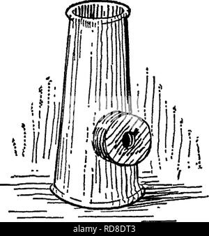 . Bactériologie et mycologie d'aliments. L'alimentation. Fig. 77.-Types de mirage des appareils. (Après Benjamin.) L'un à gauche est faite par l'organisation d'une lampe à huile ordinaire à l'intérieur d'un conteneur fort. un à droite est un dispositif métallique qui est placé sur une lampe à la place de la cheminée. Les oeufs ratatinée. Ces œufs doivent être mirés, cassée et séché sous conditions réfrigérées. Le plus compter sur les œufs séchés feuilletée était 65 000 par gramme et le plus élevé a été de 20 000 000 par gramme. Le nombre moyen de 48 échantillons a été 3 600 000. Le nombre de B. coli variait de 0 à 1 000 000. Environ trois fois plus de nég Banque D'Images