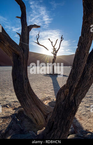 Lever de soleil sur les dunes à Deadvlei dans Namib-Naukluft National Park, Namibie, Afrique Banque D'Images
