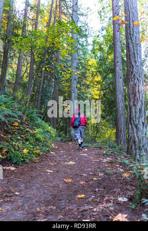 Un jeune homme en veste rouge marche avec sac à dos en vous promenant le long d'un chemin dans une forêt sauvage recouverte de feuilles d'automne jaunies, appréciant l'odeur de wild Banque D'Images