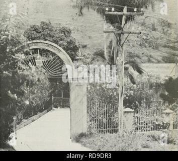 . L'examen de Cuba. Cuba -- Périodiques. ^,)5 L'EXAMEN CVBA "^'f. .-F. llfllfllPi,x, j'^^J3 ''H ?$ilr ?tbf' '^«m l.OOAYear lOCentsACopy iblishe Avril 1917(l par la Munson Steamship Line 8Z-92 Beaver Street, New %k Ville.. Veuillez noter que ces images sont extraites de la page numérisée des images qui peuvent avoir été retouchées numériquement pour plus de lisibilité - coloration et l'aspect de ces illustrations ne peut pas parfaitement ressembler à l'œuvre originale.. Munson Steamship Line. New York : Munson Steamship Line Banque D'Images