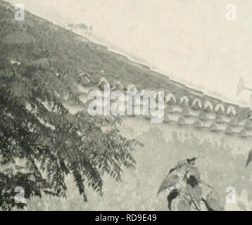 . L'examen de Cuba. Cuba -- Périodiques. 1/^ LA CVBA, !'examen. 7h : mmm. Veuillez noter que ces images sont extraites de la page numérisée des images qui peuvent avoir été retouchées numériquement pour plus de lisibilité - coloration et l'aspect de ces illustrations ne peut pas parfaitement ressembler à l'œuvre originale.. Munson Steamship Line. New York : Munson Steamship Line Banque D'Images