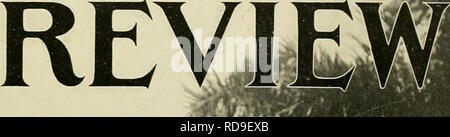 . L'examen de Cuba. La SCRL. W/. Veuillez noter que ces images sont extraites de la page numérisée des images qui peuvent avoir été retouchées numériquement pour plus de lisibilité - coloration et l'aspect de ces illustrations ne peut pas parfaitement ressembler à l'œuvre originale.. Munson Steamship Line. New York : Munson Steamship Line Banque D'Images