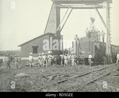. L'examen de Cuba. L'examen. CVBA ^^^* w â M' de longueur/s frappé fmz lL^t]. Veuillez noter que ces images sont extraites de la page numérisée des images qui peuvent avoir été retouchées numériquement pour plus de lisibilité - coloration et l'aspect de ces illustrations ne peut pas parfaitement ressembler à l'œuvre originale.. Munson Steamship Line. New York : Munson Steamship Line Banque D'Images