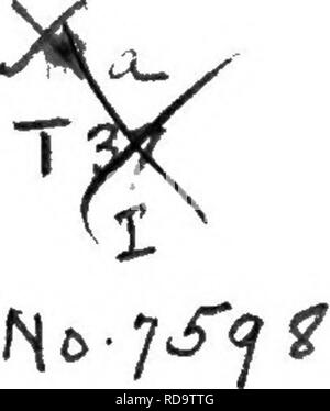 . Croquis, historique et descriptif, de noter le Maine chevaux, passées et présentes, leurs ancêtres et descendants. Les chevaux. Entré en fonction d'une loi du Congrès dans l'année 1874, par J. W. Thompson, dans le bureau du bibliothécaire du Congj-ess, laver à Washington, D. C.- B. THURSTON &AMP ; CO., imprimantes, Portland, ME. V.I. Veuillez noter que ces images sont extraites de la page numérisée des images qui peuvent avoir été retouchées numériquement pour plus de lisibilité - coloration et l'aspect de ces illustrations ne peut pas parfaitement ressembler à l'œuvre originale.. Thompson, John Wallace, 1844-. Portland, Hoyt &AMP ; Fogg Banque D'Images