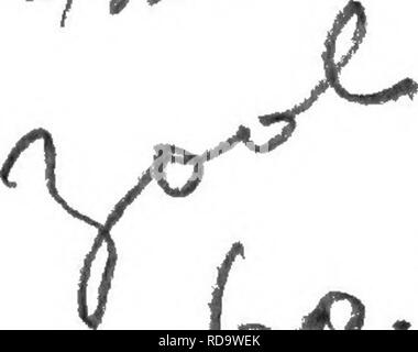 . Le nouveau livre du chien ; une histoire naturelle de la les chiens et leurs parents à l'étranger, avec des chapitres sur le droit, la reproduction, l'élevage, de gestion et de traitement vétérinaire. Les chiens. Lf ,,h. (9^ ^' /^ ^^ "V. Veuillez noter que ces images sont extraites de la page numérisée des images qui peuvent avoir été retouchées numériquement pour plus de lisibilité - coloration et l'aspect de ces illustrations ne peut pas parfaitement ressembler à l'œuvre originale.. Leighton, Robert, 1859-. Londres, Paris, New York, Toronto &AMP ; Melbourne, Cassell and Company, Limited Banque D'Images