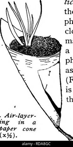 . La pépinière-livre ; un guide complet pour la multiplication de plantes ... Jardinage ; propagation des plantes. La déstratification de l'air. 41. Veuillez noter que ces images sont extraites de la page numérisée des images qui peuvent avoir été retouchées numériquement pour plus de lisibilité - coloration et l'aspect de ces illustrations ne peut pas parfaitement ressembler à l'œuvre originale.. Bailey, L. H. (Liberty Hyde), 1858-1954. New York, The Macmillan Co. Banque D'Images