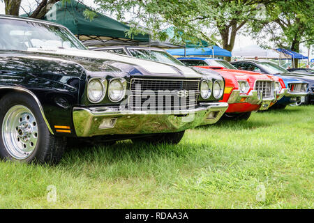 Detroit, Michigan, le 19 août 2016 : voitures anciennes sur l'affichage à Woodward Dream Cruise - Le plus grand événement de l'automobile d'un jour aux USA Banque D'Images