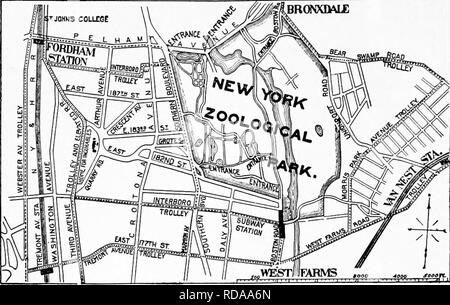 . Guide officiel populaire à la New York Zoological Park. New York Zoological Park. 16 GUIDE OFFICIEL POPULAIRE.. Croquis de la Zoological Park ET AUX ENVIRONS. Moyens d'accès. Par le métro, à l'entrée de la route de Boston.-La ter- moins de la branche est de la metro, à "180ème St., Parc Zoologique, terres" les visiteurs du sud-est de l'en- les transes pour le parc zoologique, dans l'ouest de la ferme. Les visiteurs de points en dessous de la 96ème rue doit veiller à bord du "Bronx Park" les trains, et non pas la "Broadway" des trains. Routes pour automobiles ou voitures.-par Central Park, le Banque D'Images