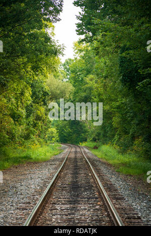 Les voies ferrées à travers l'épaisse forêt de l'Ohio, l'unique parc national de Cuyahoga Valley. Banque D'Images