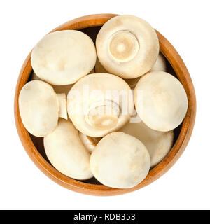 Ensemble blanc champignon champignons dans bol en bois. Agaricus bisporus, également appelé common, bouton, cultivée ou table champignon. Banque D'Images