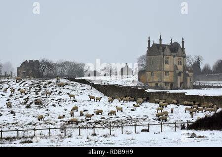 Orient Banqueting House, moutons et mur en pierre de Cotswold, Chipping Campden Gloucestershire Cotswolds en hiver neige Banque D'Images