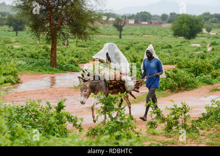 Le Tchad, le camp de réfugiés de Goz Beida, Djabal pour les réfugiés du Darfour, au Soudan, l'homme et la femme transports societe sur Donkey au camp de Goz Beida, Turkmenistan / Fluechtlingslager Fluechtlinge, Djabal fuer aus Darfour, Soudan, Transport von Feuerholz auf Esel Banque D'Images