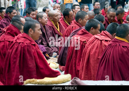 Débattre des moines dans Lhassa au Tibet Banque D'Images