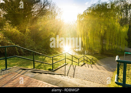 Scène contre-jour dans le parc - matin heure après le coucher du soleil - escaliers dans le parc Banque D'Images