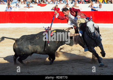 Corrida à Alcochete. Horseman poignardant banderille sur un taureau, les taureaux ne sont pas tués au cours de la corrida, Alcochete, Setubal, Portugal Province Banque D'Images