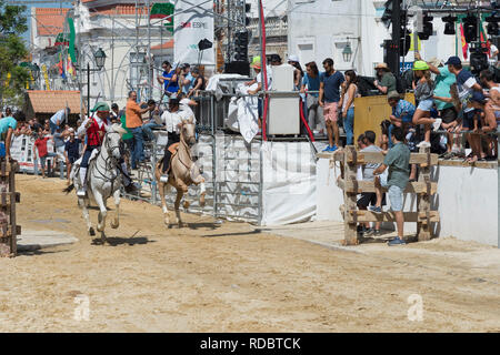 Taureaux sauvages en marche et l'essence au plomb par des cavaliers dans les rues, Festas do Barrete Verde e das Salinas, Alcochete, Setubal, Portugal Province Banque D'Images