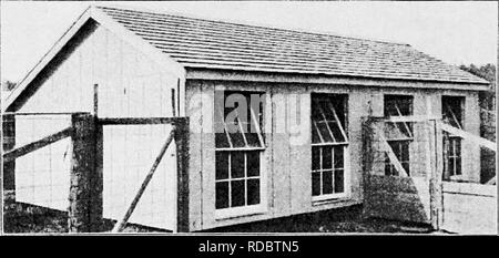 . Principes et pratiques de la culture de la volaille . La volaille. Fig. 237. Couveuse Long House. La division fii ;. 238. Chambre froide pour l'hiver sevrés poussins. Veuillez noter que ces images sont extraites de la page numérisée des images qui peuvent avoir été retouchées numériquement pour plus de lisibilité - coloration et l'aspect de ces illustrations ne peut pas parfaitement ressembler à l'œuvre originale.. Robinson, John H. (John Henry), 1863-1935. Boston ; New York : Ginn et compagnie Banque D'Images