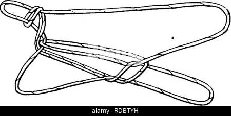 . Rapport de l'Expédition arctique canadienne 1913-1918. Des expéditions scientifiques. 124 b Canadian Arctic Expedition, 1913-1918 Le chant d'Indian point cette nixKqaq mamaqtCkya la figure est : nixqaq annqkuyum kaluayamakarja mamaqtik'fa (faire "le castor." nakmckamakm tciqiq anqaxXuni payaliktoq) (faire "l'écureuil iyuvham amiejaqta") (faire "l'homme.") La shag est nourrissant ses petits. ( ?) La shag est nourrissant ses petits. ( ?) Un castor est sorti de la terre pour moi. D'où que l'écureuil ? À venir il s'enfuit. Cet homme intercepté. CII. Le Brant et l'ours noir pour cette Banque D'Images