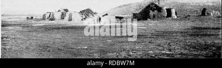 . Rapport de l'Expédition arctique canadienne 1913-1918. Des expéditions scientifiques. 142 Canadian Arctic Expedition, 1913-1918 20 octobre-21 : Les femmes et les enfants exploités n'ear camp, tandis que les hommes col- gistrement le poisson séché et de viande provenant de leurs différents caches et pêché dans les lacs plus lointaine. Par la 21e, nous étions prêts à démarrer pour la côte à nouveau. 22-29 octobre : nous sommes entrés dans l'Okauyarvik Creek, à l'angle sud-est du lac de Kigiaktallik et suivi jusqu'à sa bouche. Les caribous ont été observés après quelques kilomètres, et nous avons campé pour permettre à Ikpakhuak Avranna et d'aller à leur poursuite. La première nuit nous sle Banque D'Images