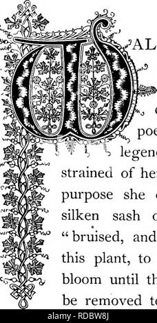 . Le Royaume floral : son histoire, le sentiment et la poésie : un dictionnaire de plus de 300 plantes, avec les genres et les familles auxquelles elles appartiennent, et la langue de chaque illustré avec les pierres précieuses à la poésie . Langage des fleurs ; les fleurs dans la littérature. w -^^ ^d [ mtx. 'CEIieil CtllthuS Cijtivt. L'ordre naturel : Cmcifci Faitiily Moutarde â-ic. ALLFLOWER est un faible, semi-arbustive, vivace, croître- &gt;s ing de un à deux pieds et demi de hauteur, et vient du sud de l'Europe. C'est un grand favori sur ce continent parmi toutes les classes. Robert Herrick, un^ Engli poète de th Banque D'Images