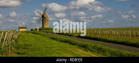 Route de moulin vue sur une fin d'après-midi ensoleillée, Gironde, France Banque D'Images