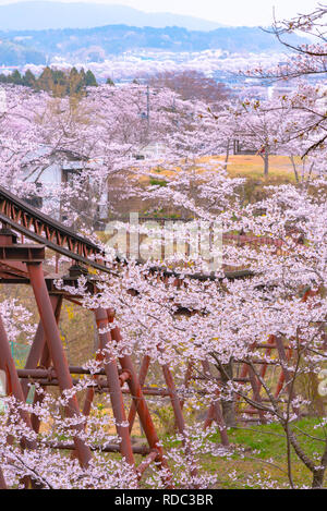 Voiture à pente Funaoka Parc du Château de Miyagi, Japon Banque D'Images