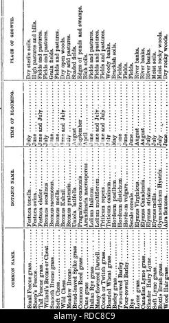 . Les herbes du Tennessee ; y compris les céréales et les plantes fourragères. Les plantes fourragères graminées ; ; le grain. 72 Les GRAMINÉES J â 6 &AMP ; 25.  ; Iillifl !â ip d BSOO w y ^ S o. Veuillez noter que ces images sont extraites de la page numérisée des images qui peuvent avoir été retouchées numériquement pour plus de lisibilité - coloration et l'aspect de ces illustrations ne peut pas parfaitement ressembler à l'œuvre originale.. Killebrew, J. B. (Joseph Buckner), 1831-1906. Nashville, l'American Co. Banque D'Images