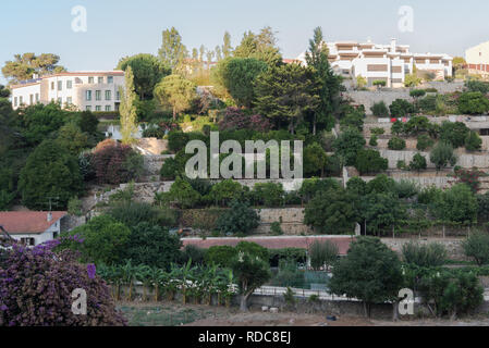 Terrasses en pierre avec des plantations de fruits et légumes situé dans le parc urbain à côté de maisons résidentielles en vallée, dans le centre de Cascais, Portugal Banque D'Images