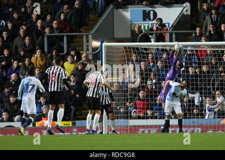 BLACKBURN, 15 janvier 2019. Freddie Woodman de Newcastle United prétend une croix d'Adam Armstrong's head au cours de la FA Cup troisième relecture ronde entre Blackburn Rovers et Newcastle United à Ewood Park, Blackburn, le mardi 15 janvier 2019. (Photo crédit : Mark Fletcher | MI News & Sport | Alamy) Banque D'Images