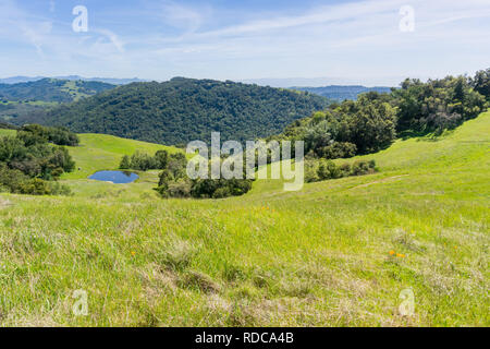 Collines et vallées verdoyantes dans Henry Coe State Park, Californie Banque D'Images