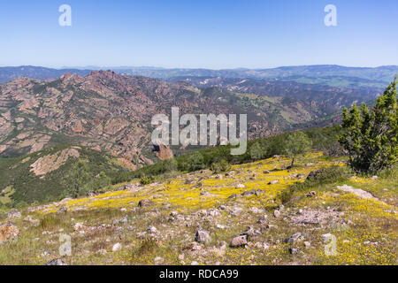Vue vers les hauts sommets ; floraison de fleurs sauvages, Pinnacles National Park, Californie Banque D'Images