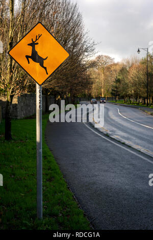 Le passage à niveau des cerfs en hauteur est un panneau d'avertissement jaune attention sur Mission Road à Killarney, dans le comté de Kerry, en Irlande Banque D'Images