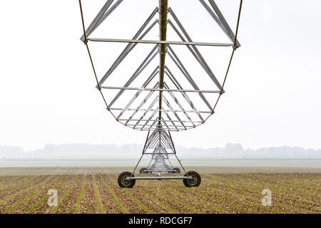 Vue de dessous d'un système d'irrigation à pivot central dans un jeune champ de maïs dans la campagne française par un matin de printemps brumeux. Banque D'Images
